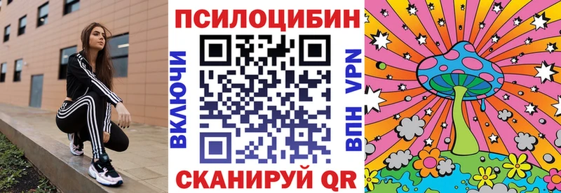блэк спрут как войти  цена наркотик  Боровичи  Галлюциногенные грибы GOLDEN TEACHER 