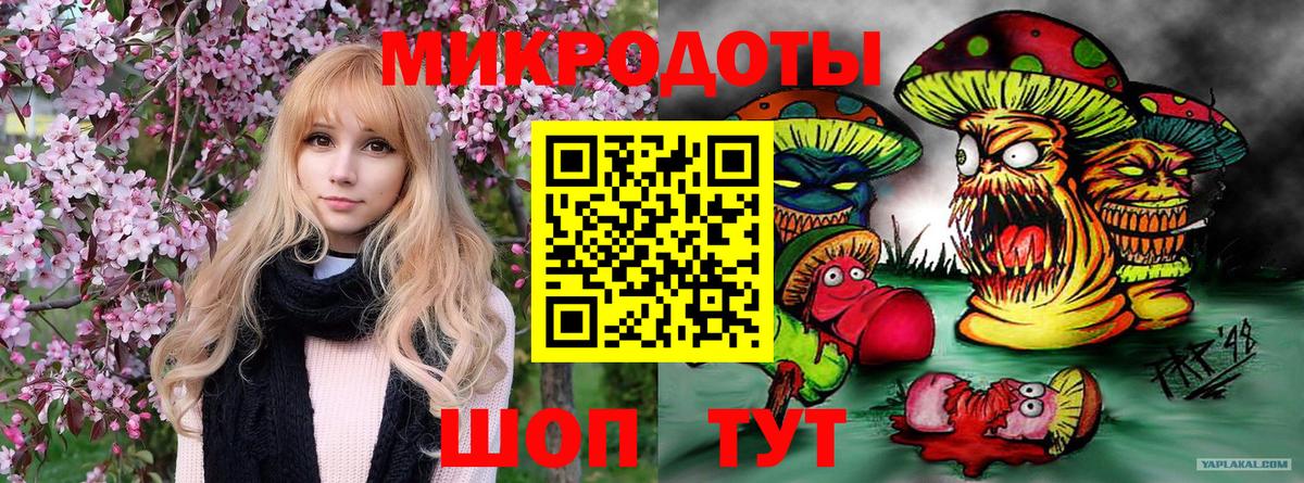 Галлюциногенные грибы Cubensis Боровичи
